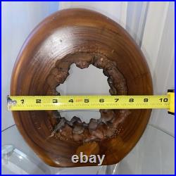Wood Sculpture Live Edge Circle Sculpture Abstract Sculpture Vintage