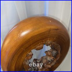 Wood Sculpture Live Edge Circle Sculpture Abstract Sculpture Vintage