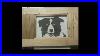 Wormy Chestnut Humidor Scrollsaw Portrait Inlay Dovetail Joints Border Collie